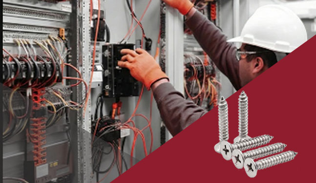 Electrical & Sanitary