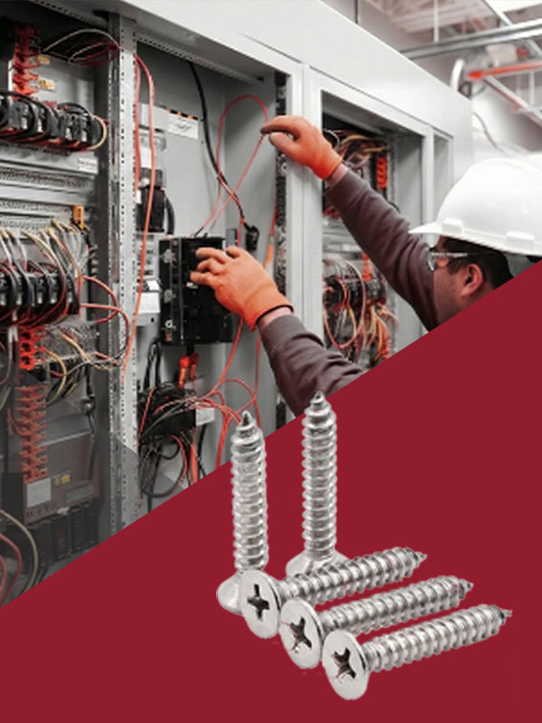 Electrical & Sanitary